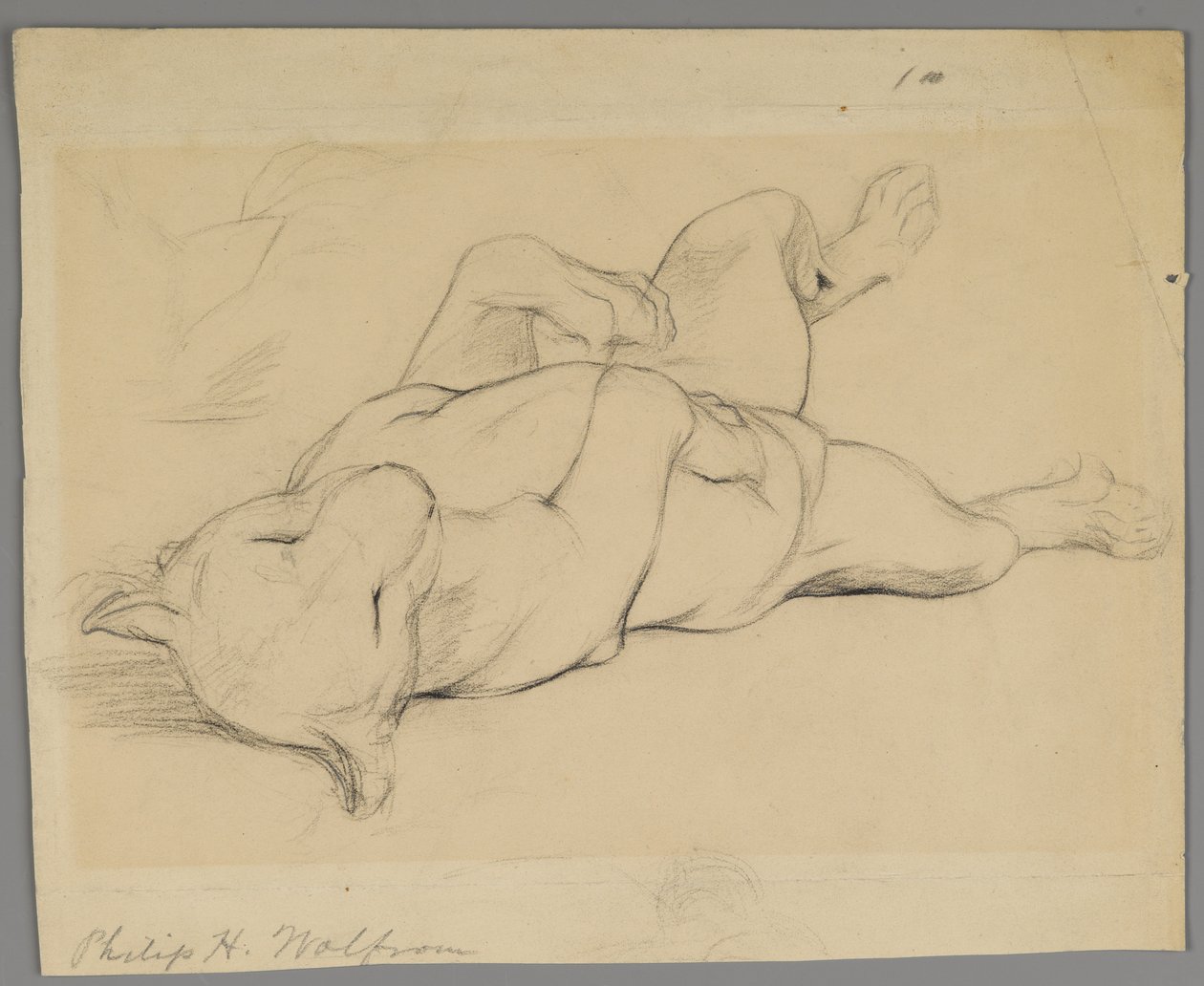 Sleeping Lioness by Philip H. Wolfrom