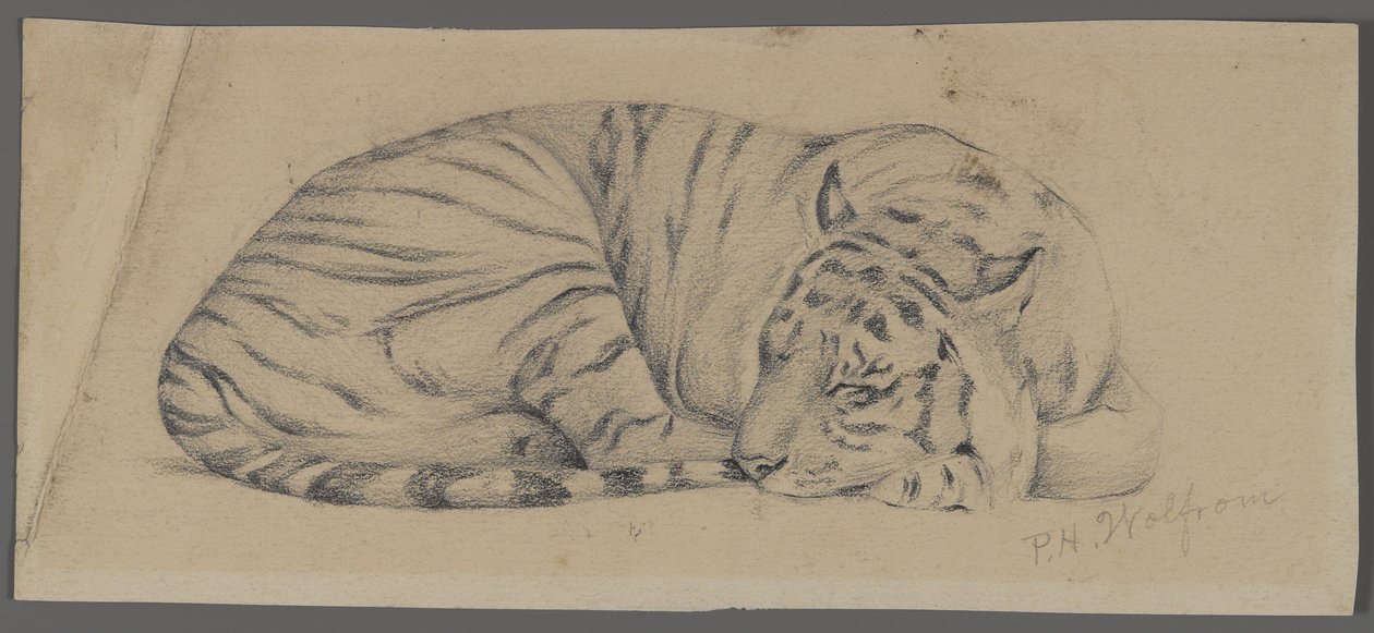 Sleeping Tiger by Philip H. Wolfrom