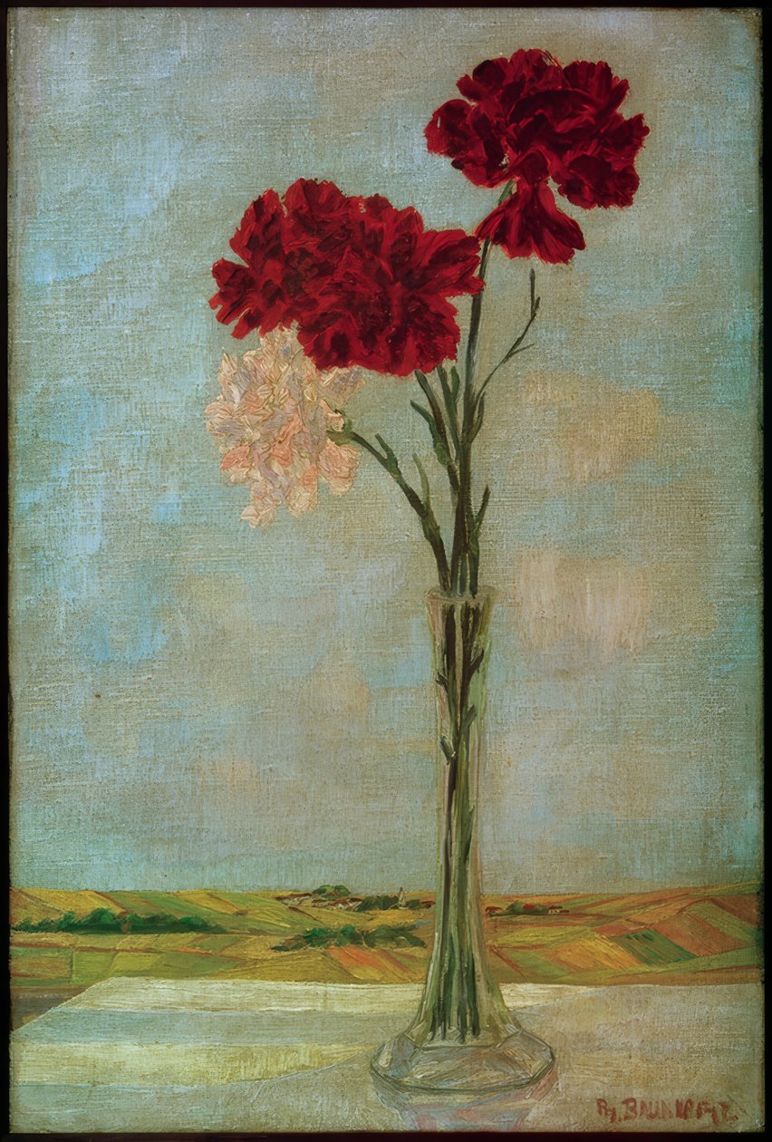 Carnations by Philipp Bauknecht