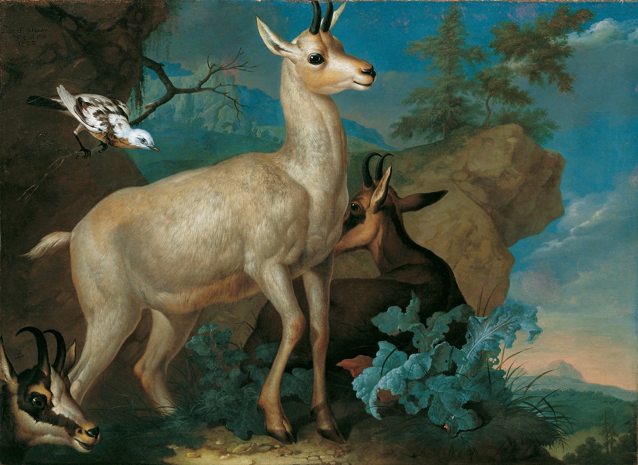 Three Chamois and a Blackbird by Philipp Ferdinand de Hamilton