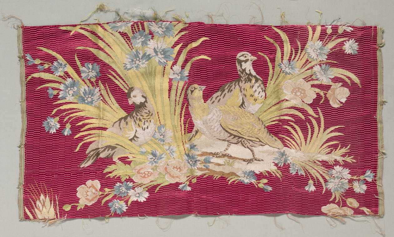Silk Fragment by Philippe de Lasalle