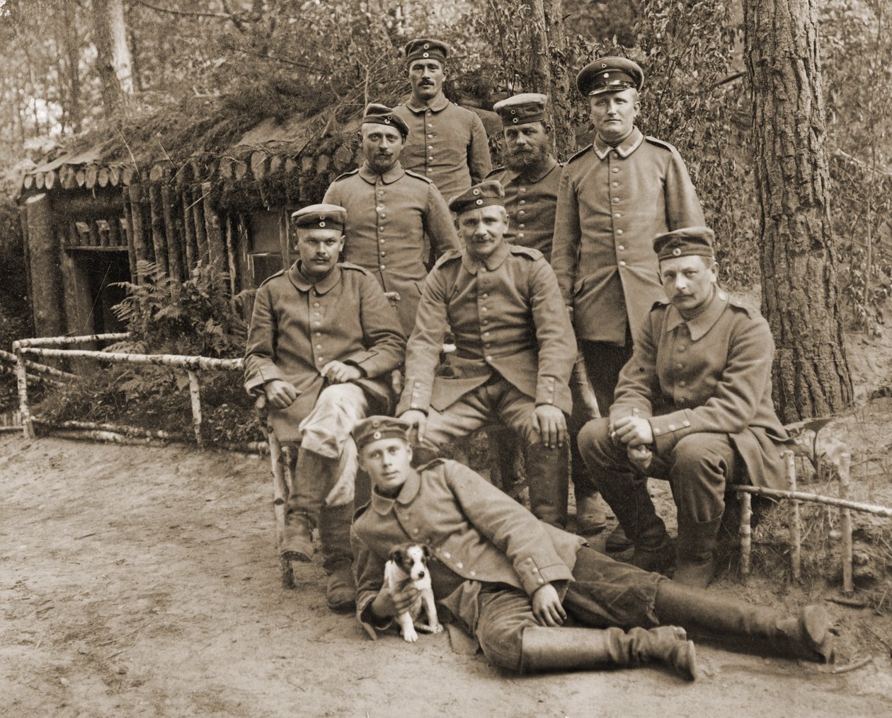 Group of German soldiers with a dog by Photographer German