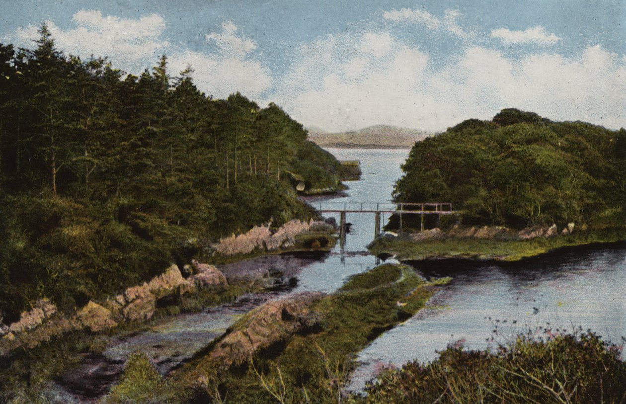 Southern Ireland: Parknasilla, County Kerry by Photographer Irish