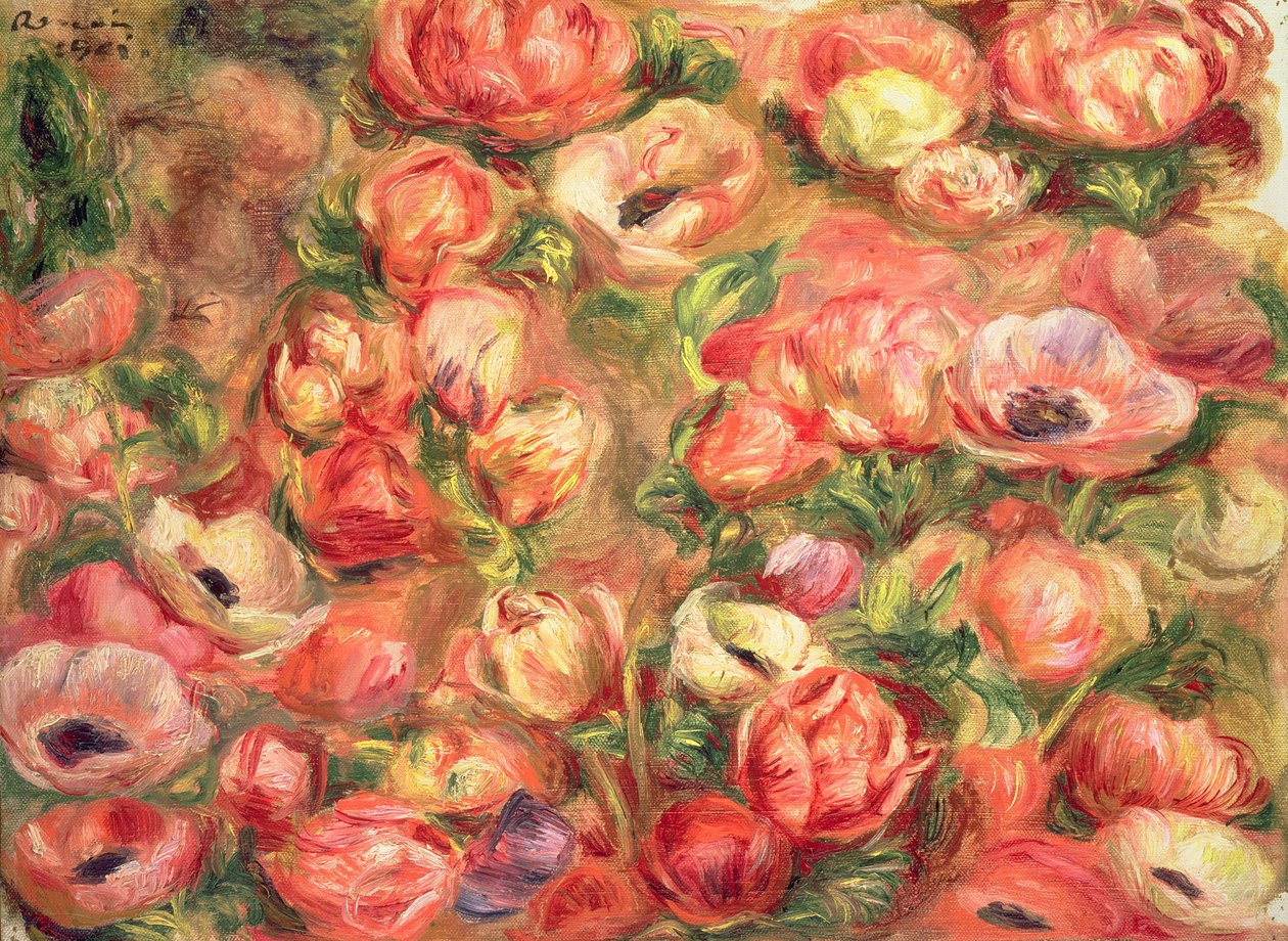 Bed of Anemones, 1901 by Pierre Auguste Renoir