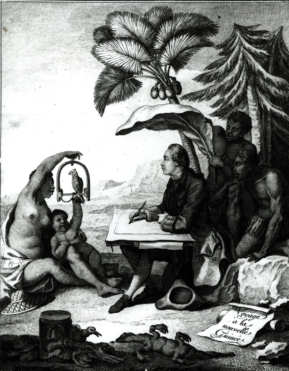 Pierre Sonnerat Drawing a Bird, from 