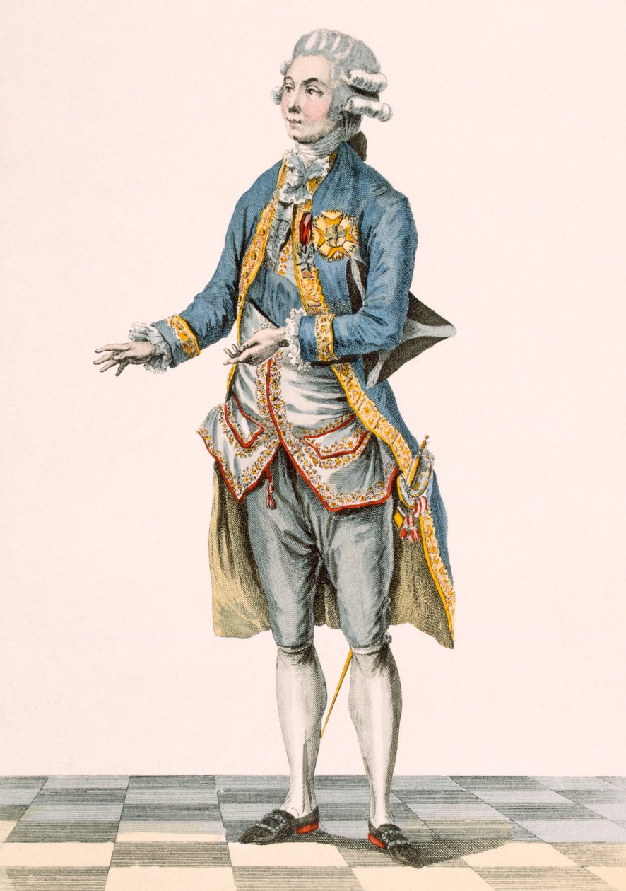 Duke in his ceremonial attire pictured at the court, plate from 