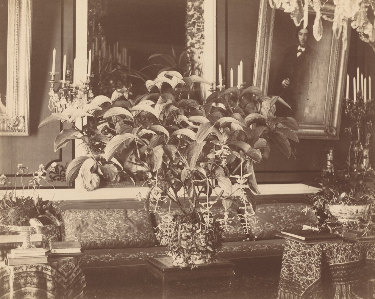 Interior by Pierre Ambrose Richebourg