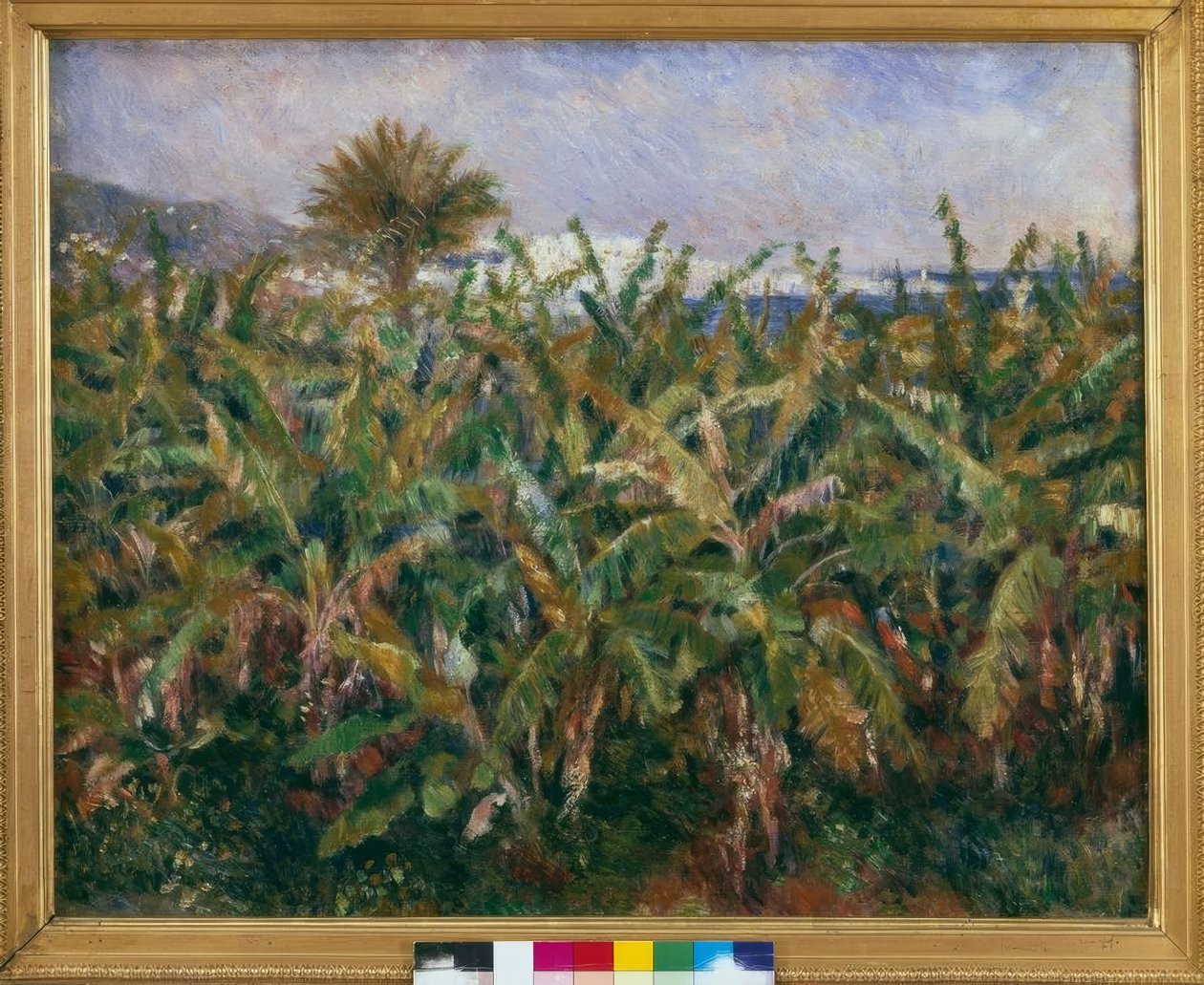 Banana Field by Pierre Auguste Renoir