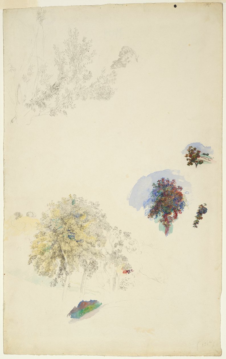Studies of Trees and Foliage by Pierre Auguste Renoir