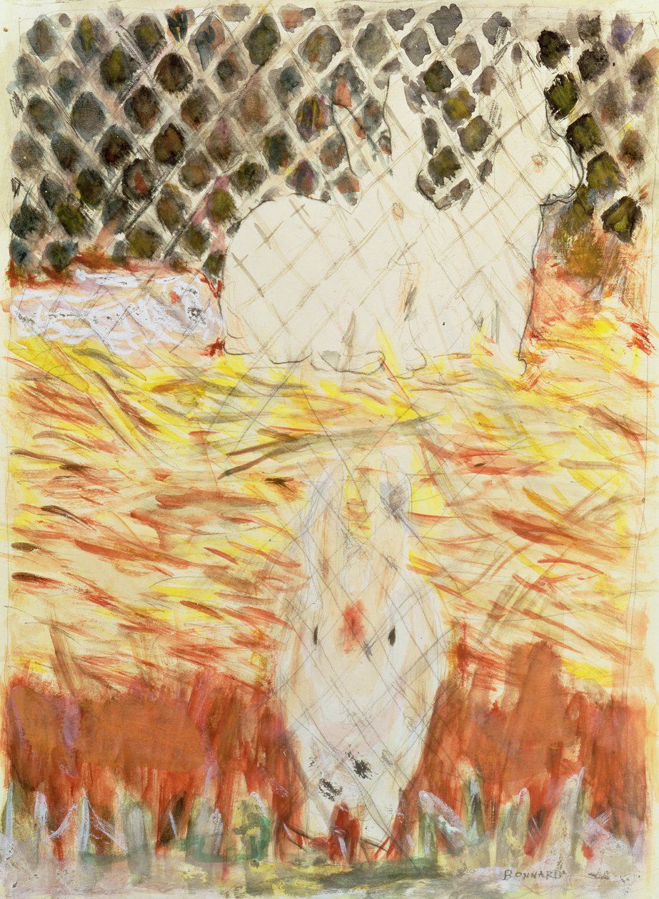 Rabbits, c.1930 by Pierre Bonnard