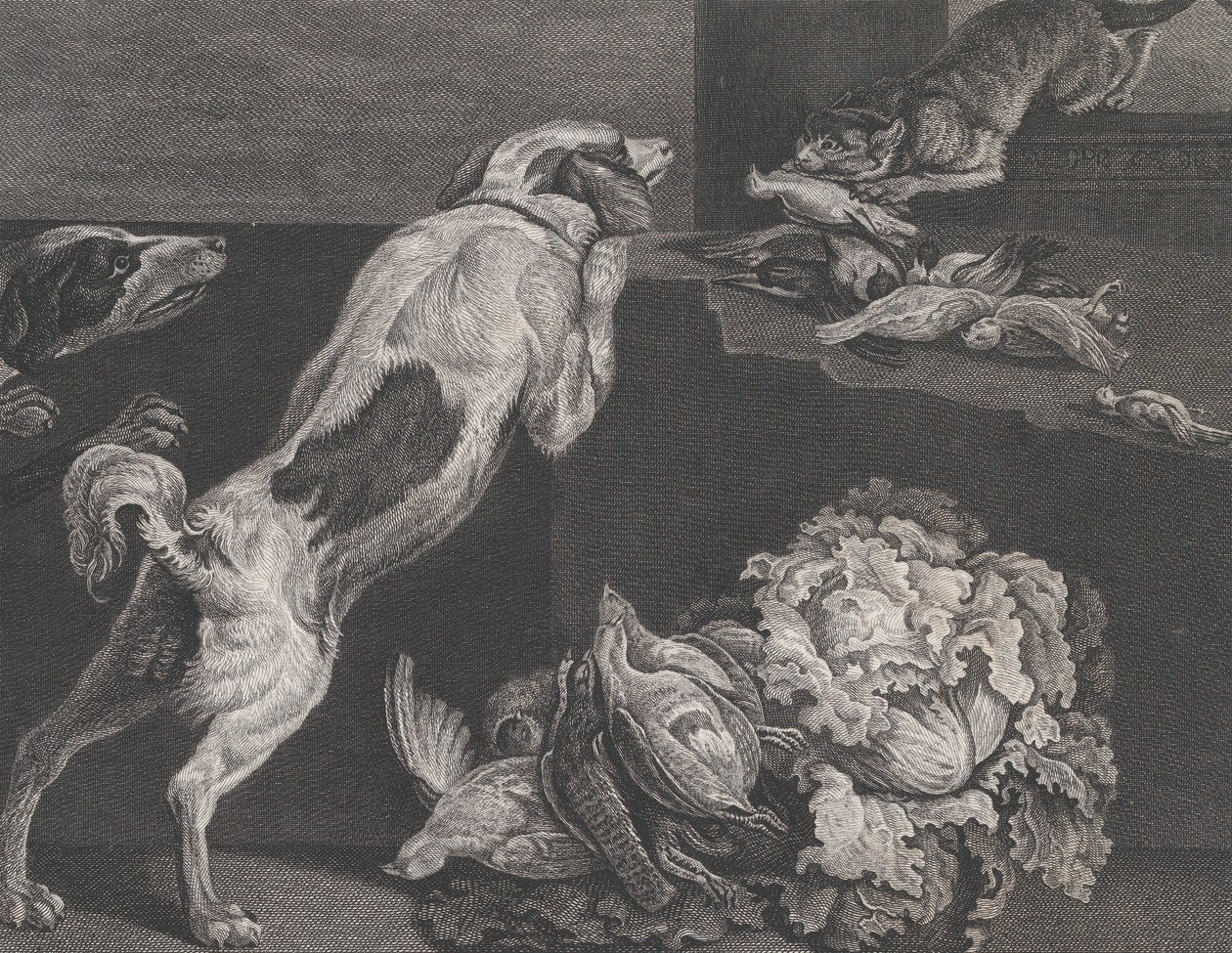 Dogs and Still Life, 1778 by Pierre Charles Canot