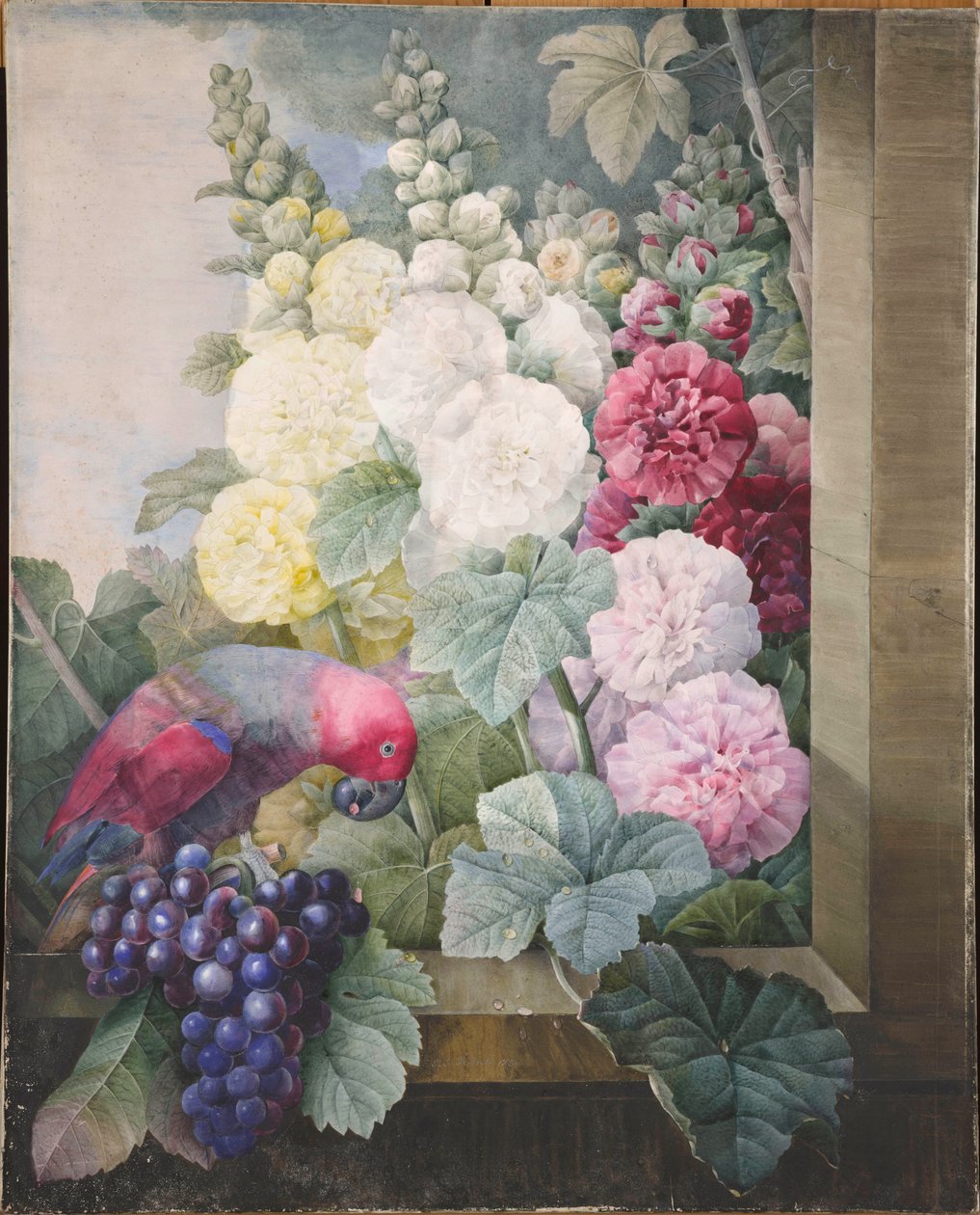 Hollyhocks, Grapes and a Parrot by Pierre Joseph Redouté