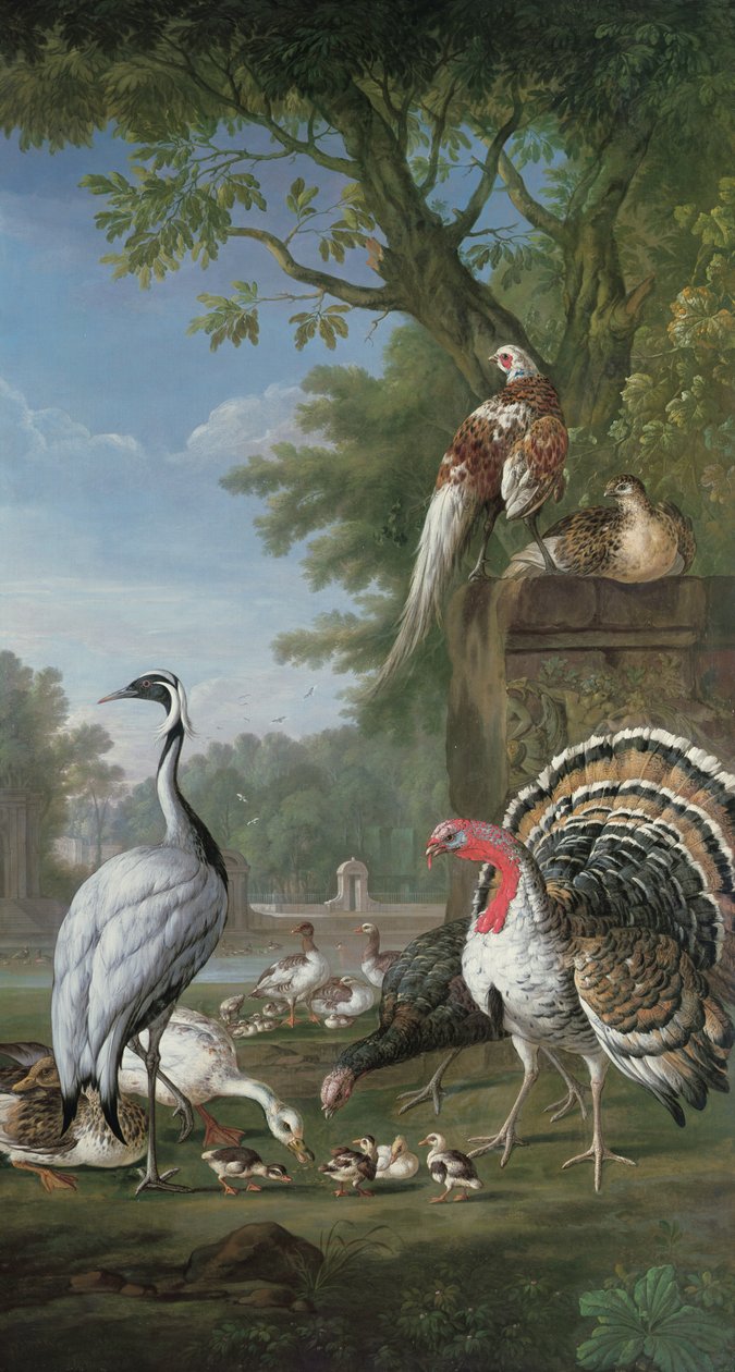 Group of Exotic Birds by Pieter Casteels