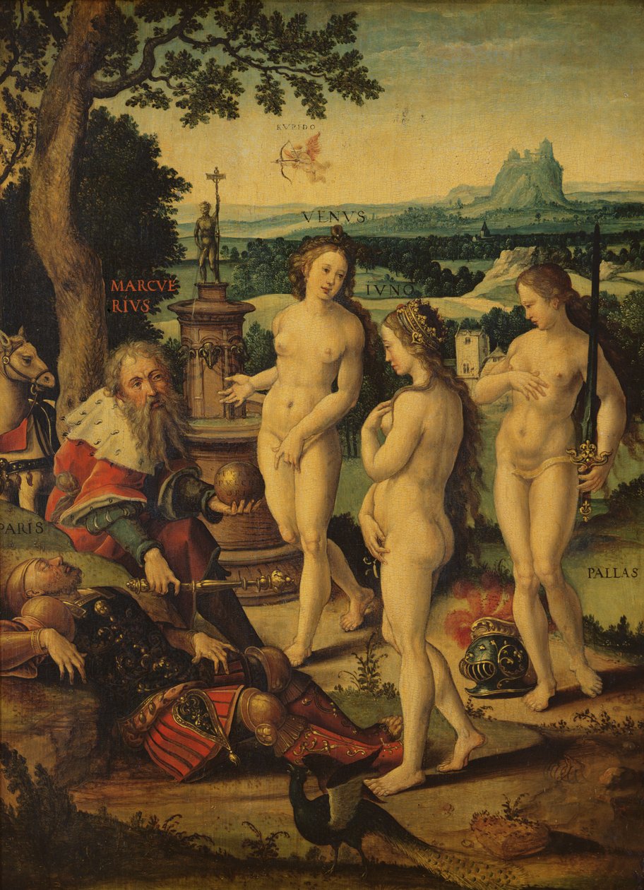 The Dream of Paris by Pieter Coecke van Aelst