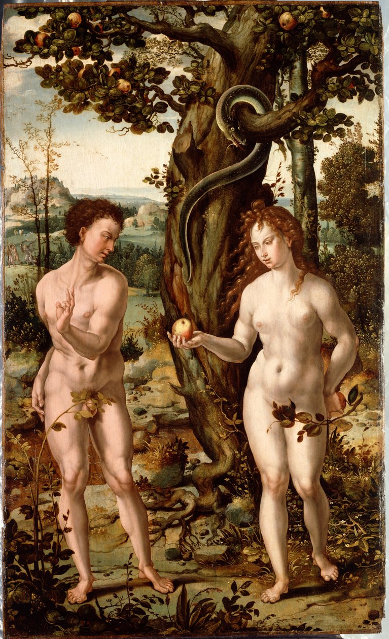 The Fall of Man by Pieter Coecke van Aelst
