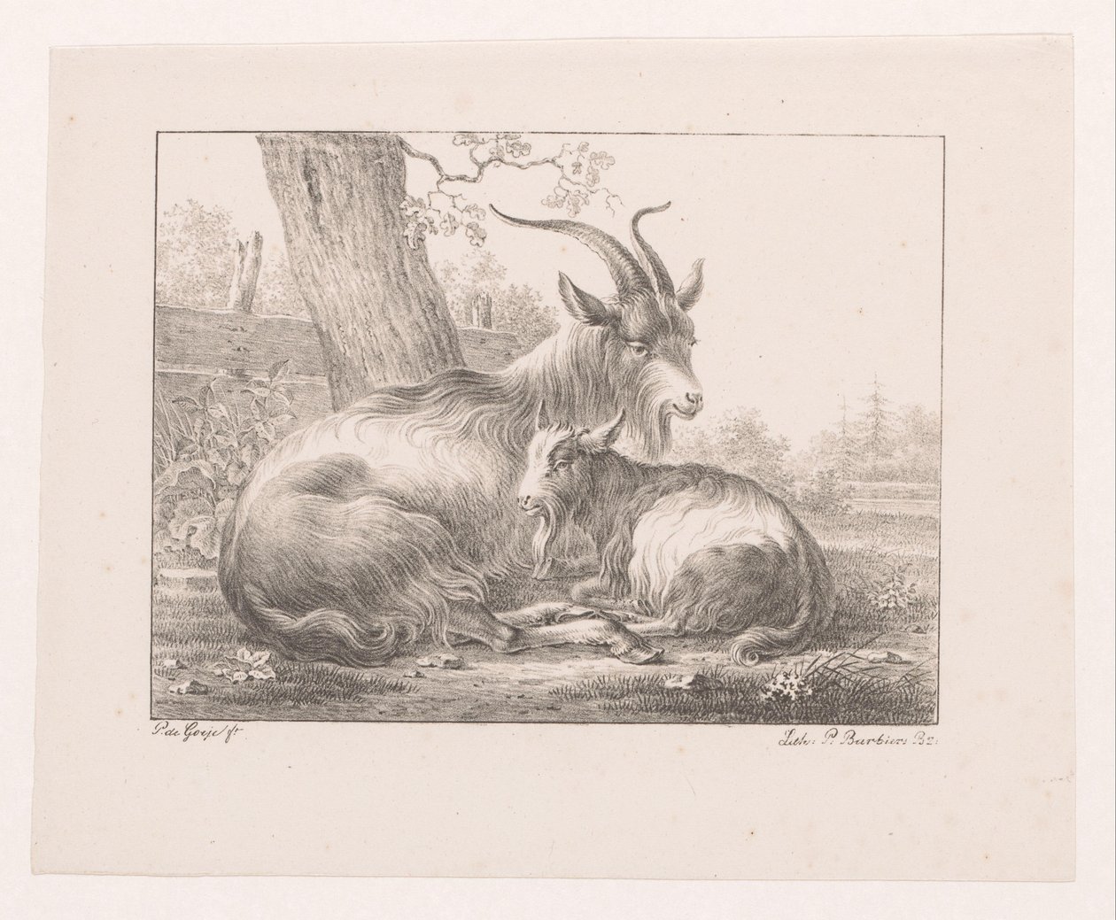 Goat and Sheep in Landscape by Pieter Bartholomeusz. Barbiers