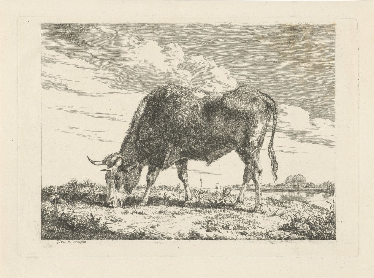 Grazing Cow by Pieter Gerardus van Os