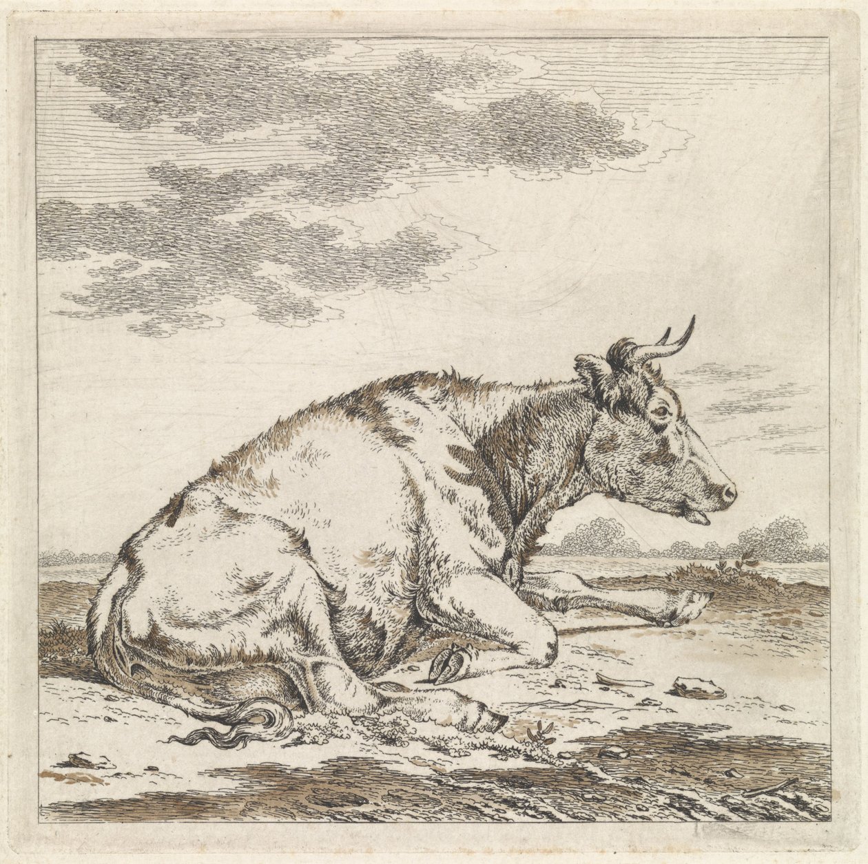 Lying Cow, Facing Right by Pieter Janson