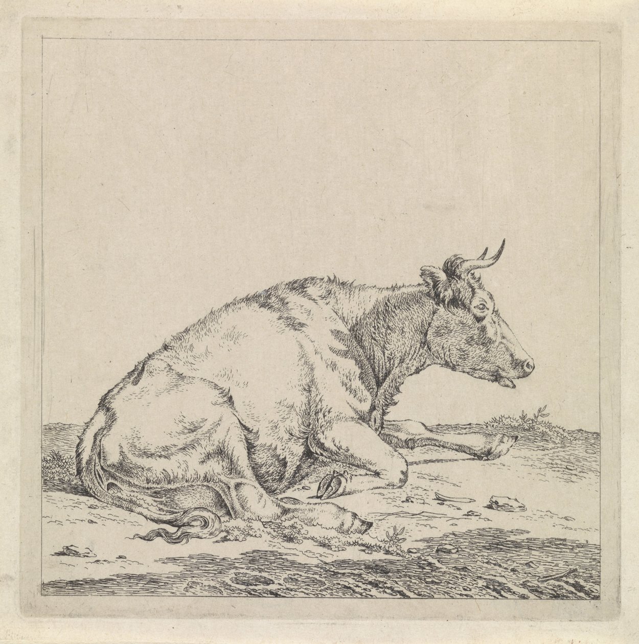 Lying Cow, Facing Right by Pieter Janson