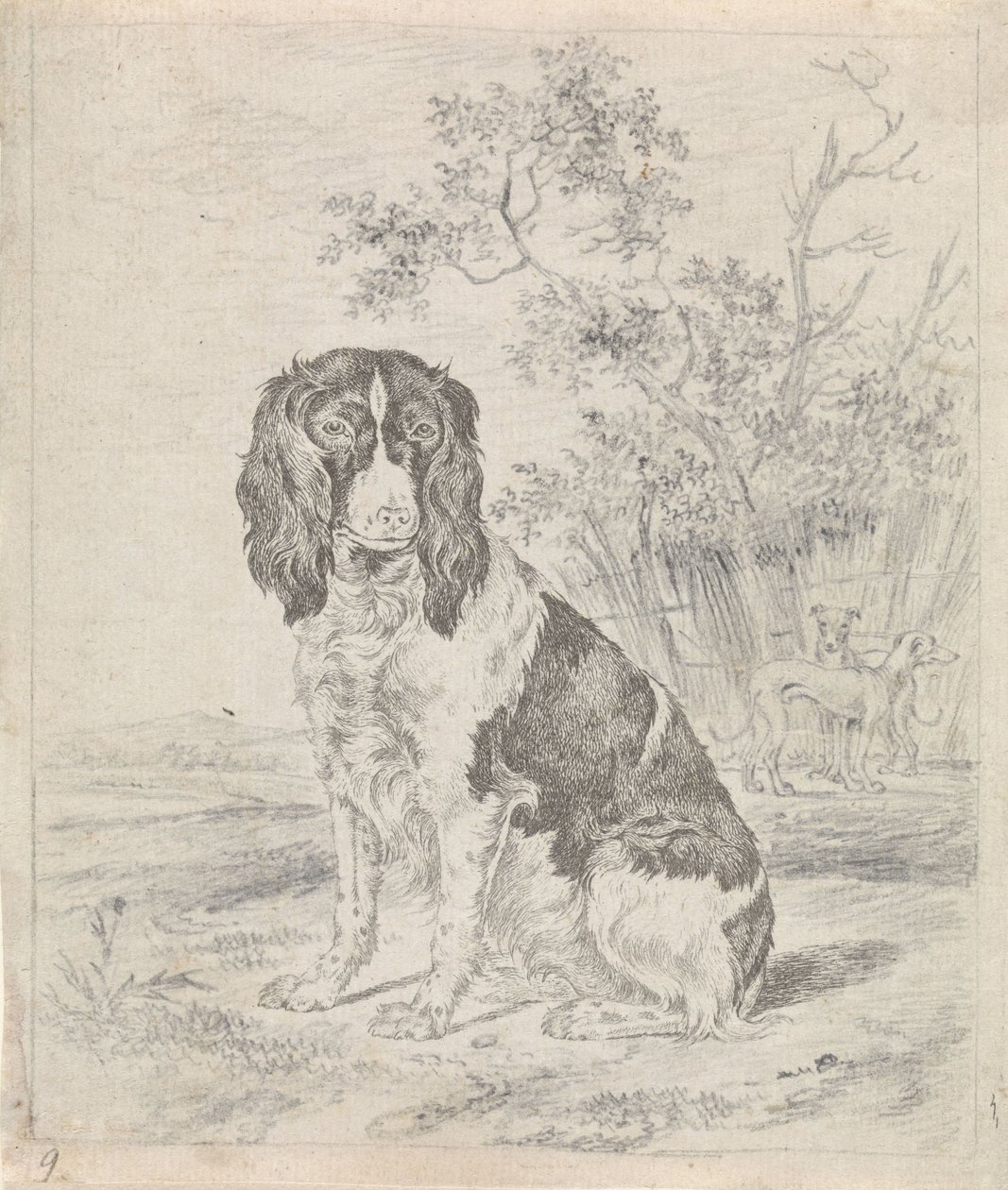Sitting Partridge Dog by Pieter Janson