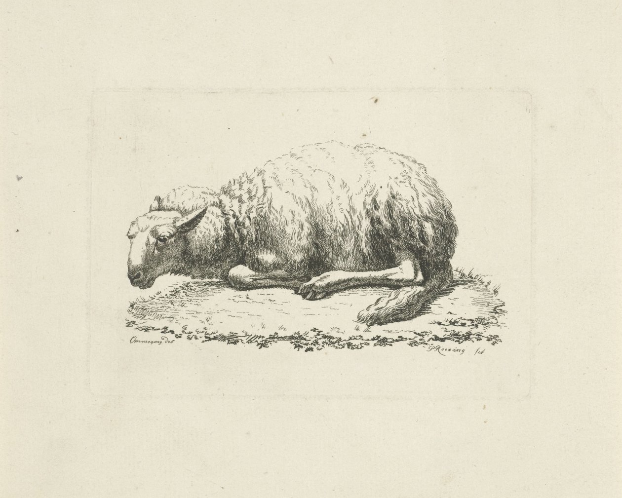 Lying Sheep by Pieter Roosing
