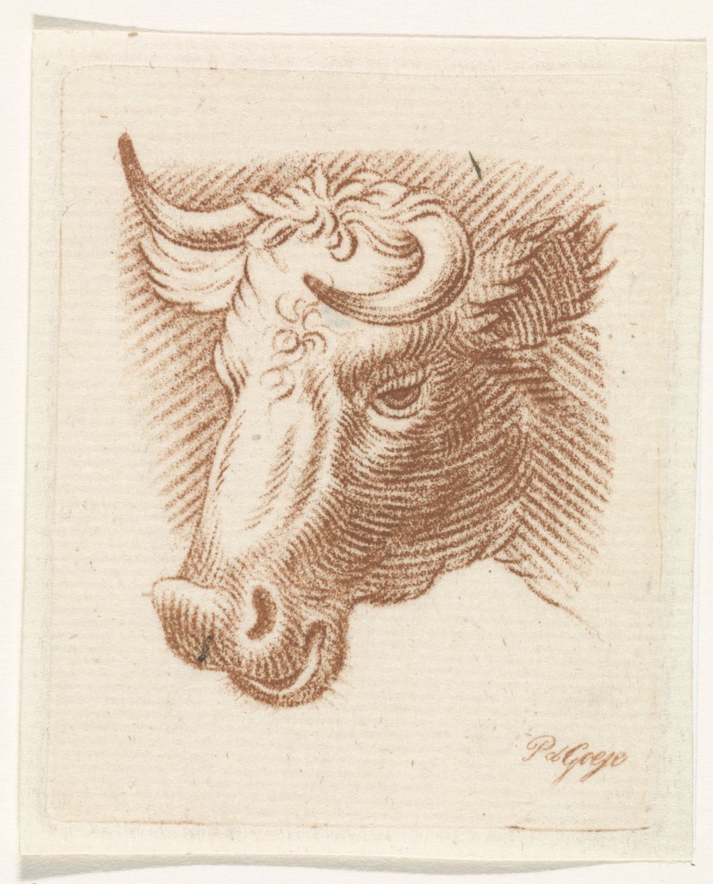 Head of a Bull by Pieter de Goeje