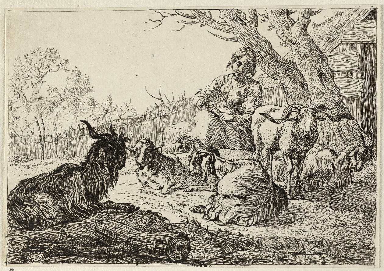 Shepherdess among Goats and Sheep by Pieter van Laer