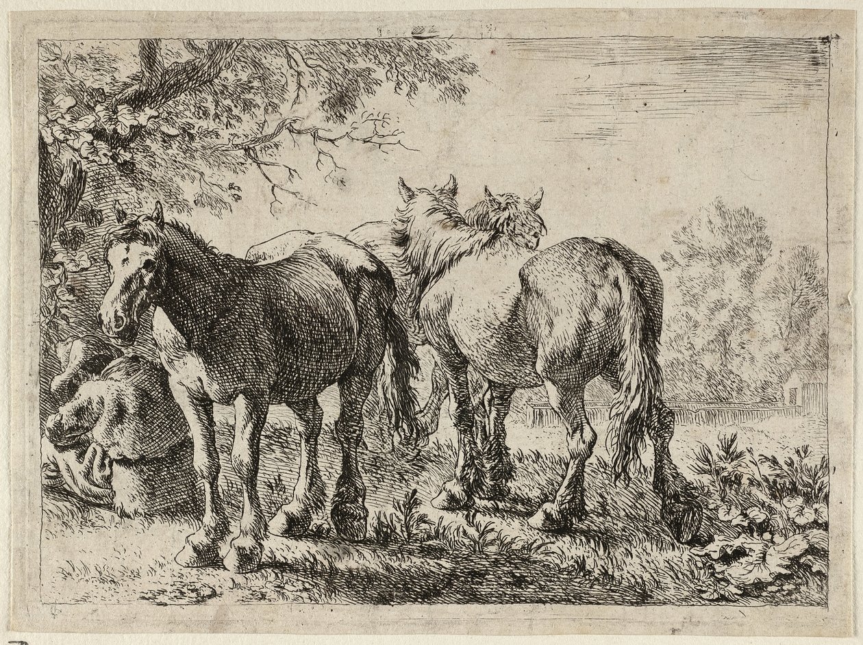 Three Horses in a Field by Pieter van Laer