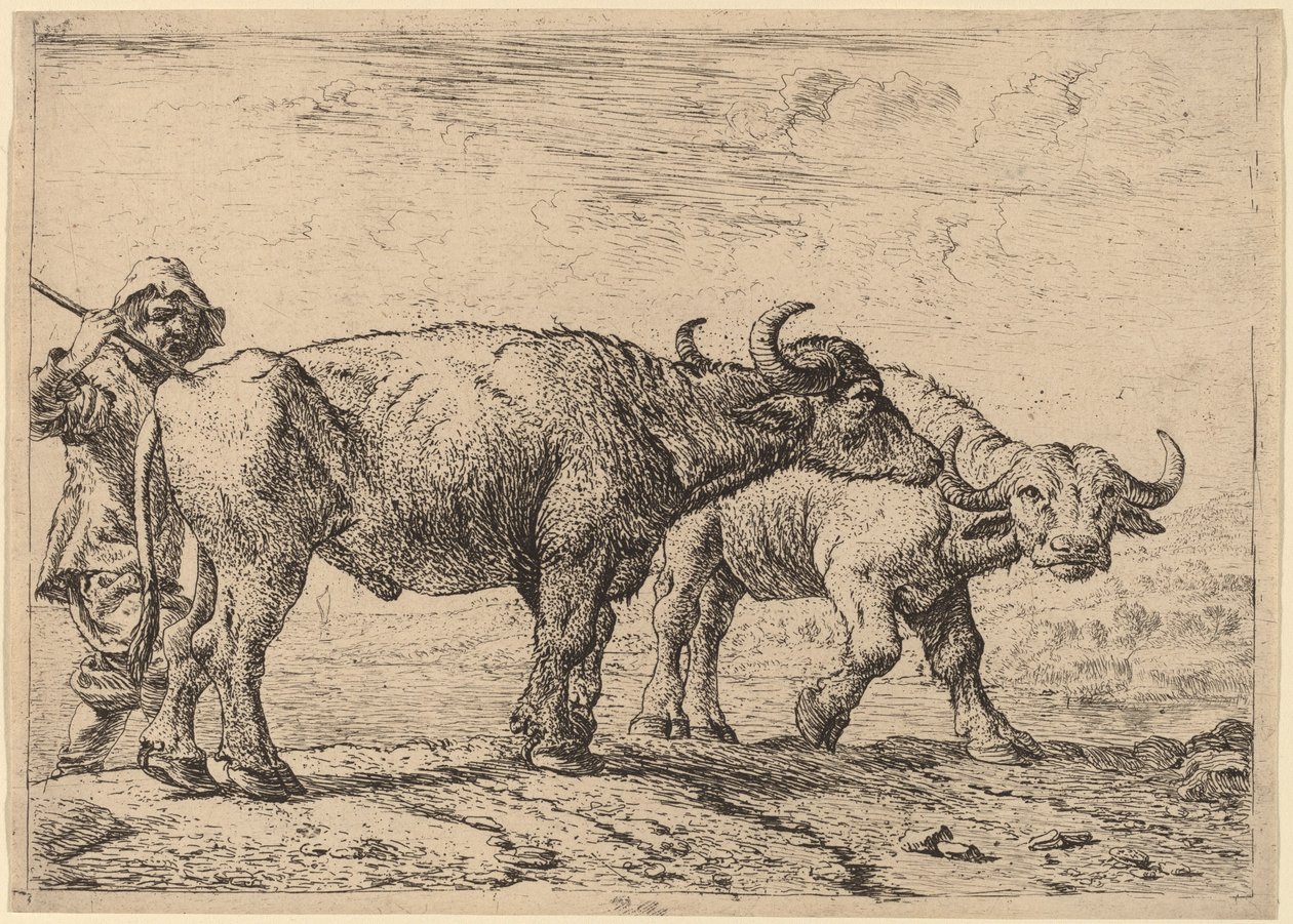 Two Buffaloes and a Herdsman by Pieter van Laer