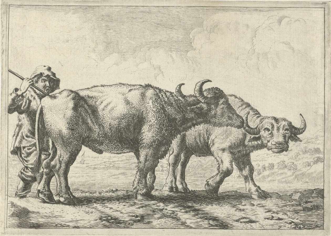 Two Buffaloes and a Herdsman by Pieter van Laer