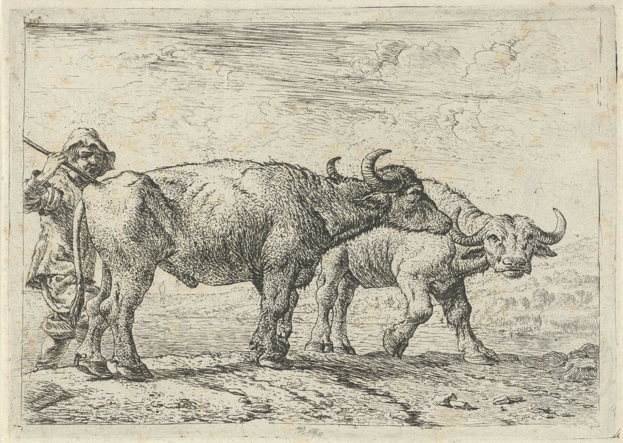 Two Buffaloes and a Herdsman by Pieter van Laer