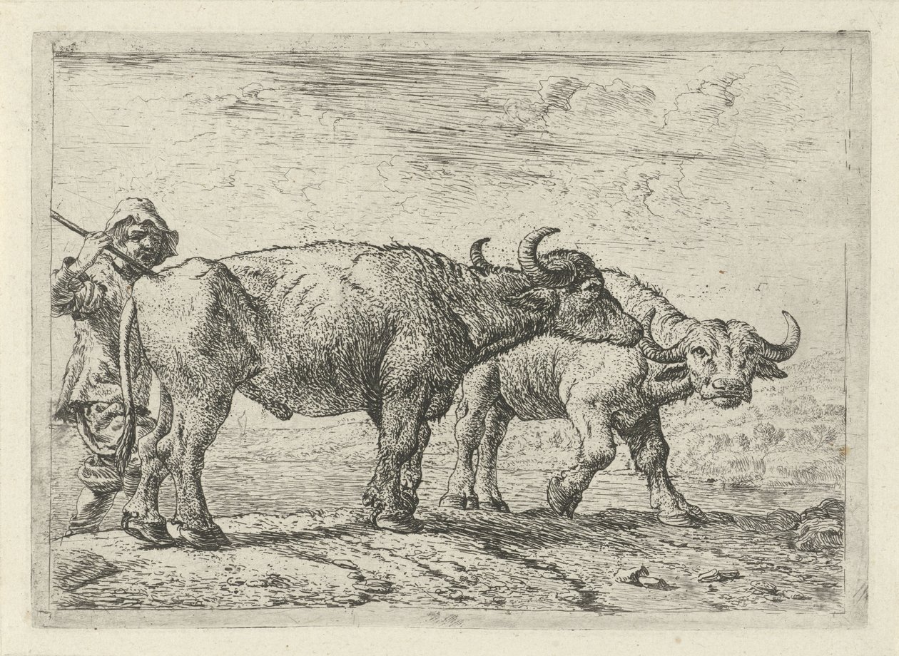 Two Buffaloes and a Herdsman by Pieter van Laer