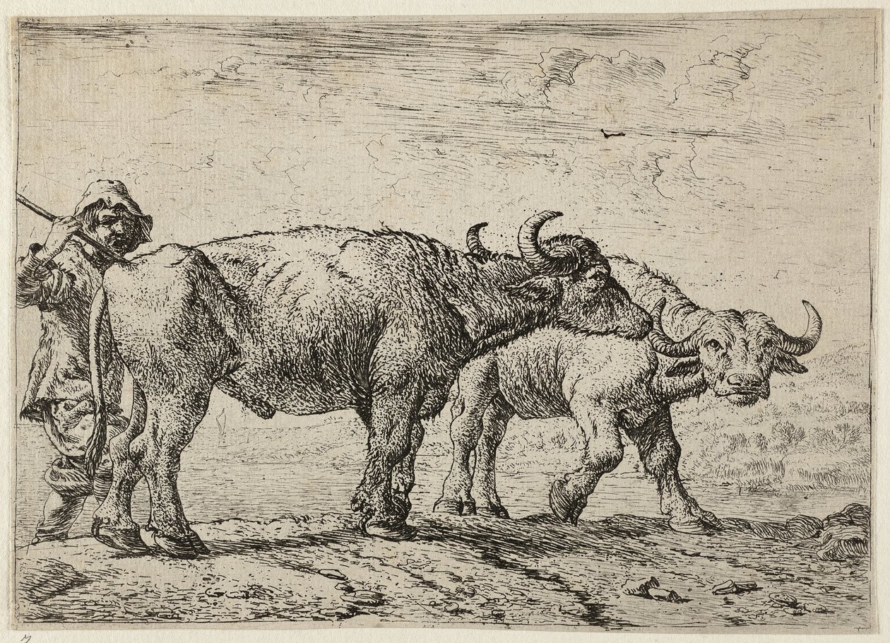 Two Buffaloes and a Herdsman by Pieter van Laer