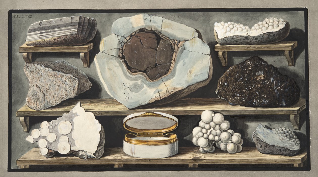 Specimens of curious stones found by the Author on Mount Vesuvius, Plate XXXXVIII, from 