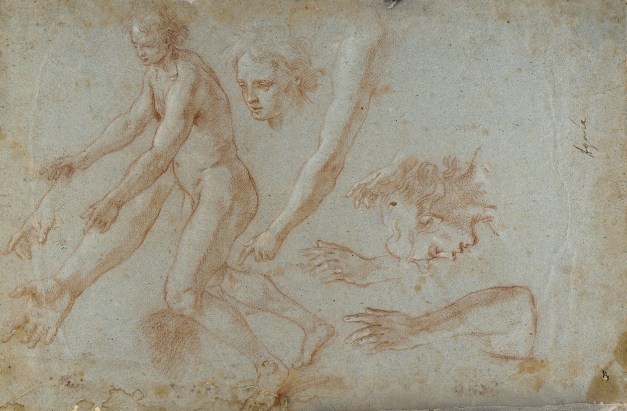 Drawing by Pietro Aquila