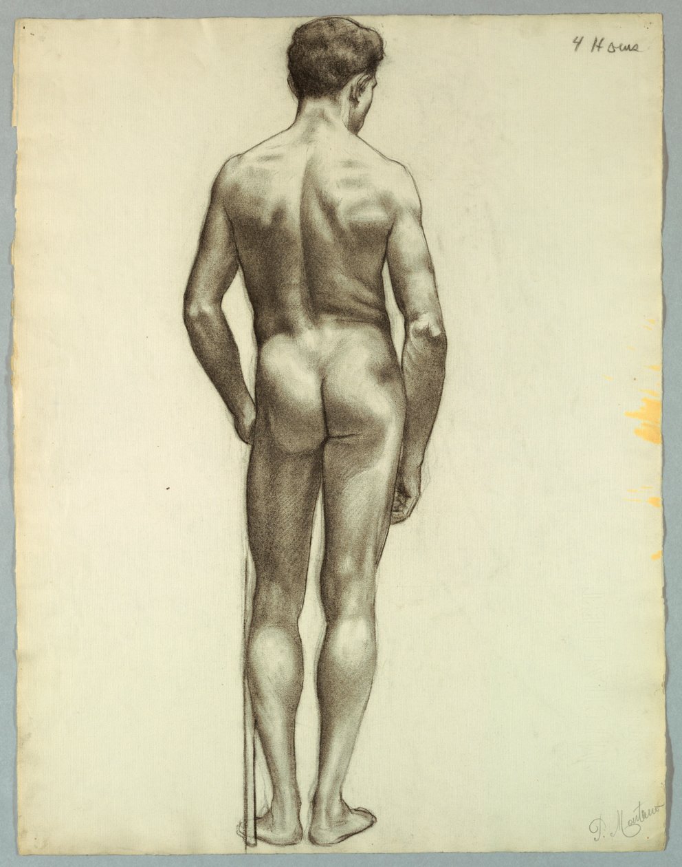 Standing Male Nude Seen from the Back by Pietro Montana