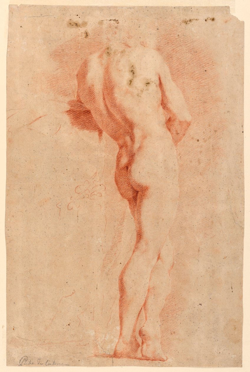 Figural Study by Pietro da Cortona