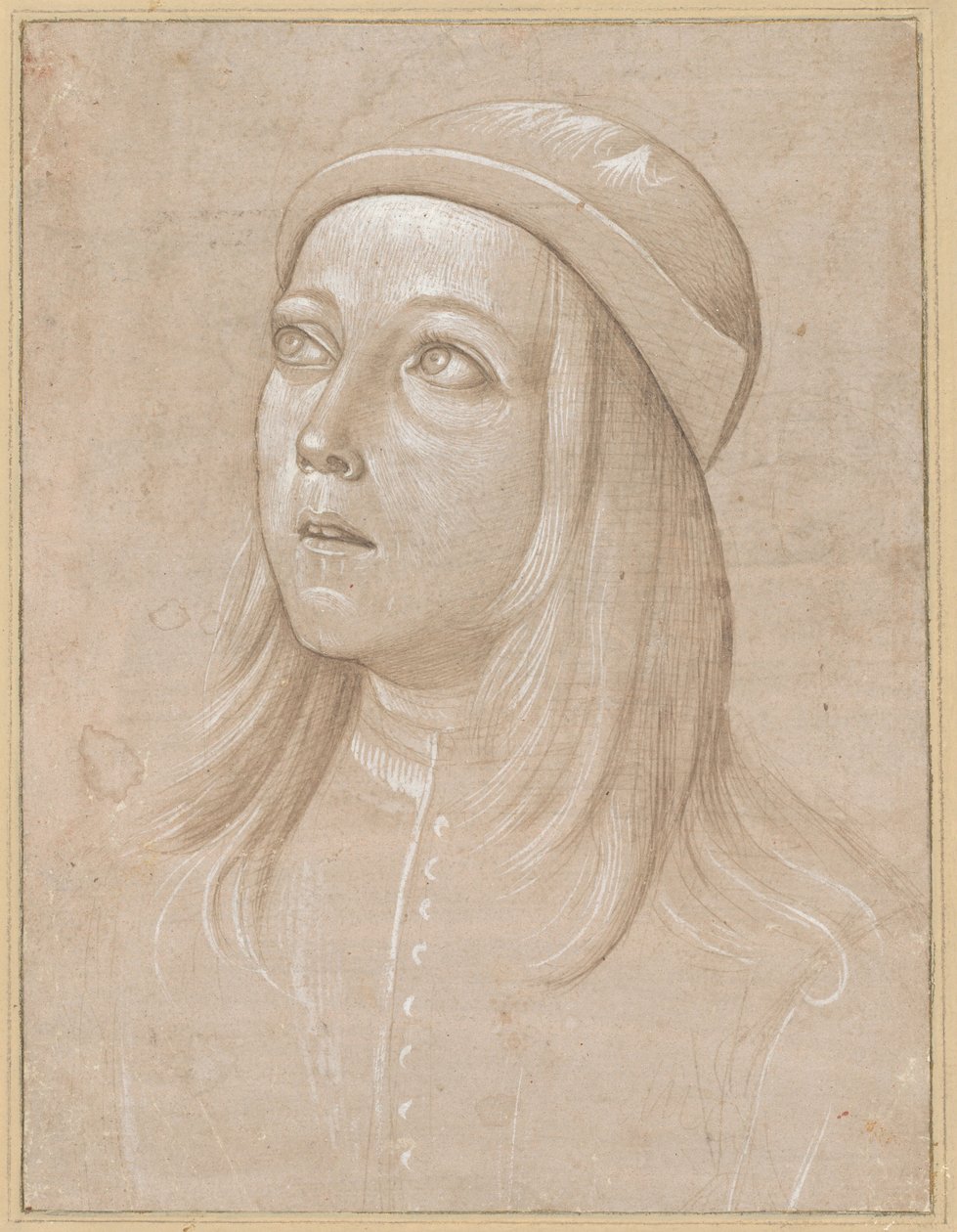 Head of a Youth Looking Up by Pinturicchio