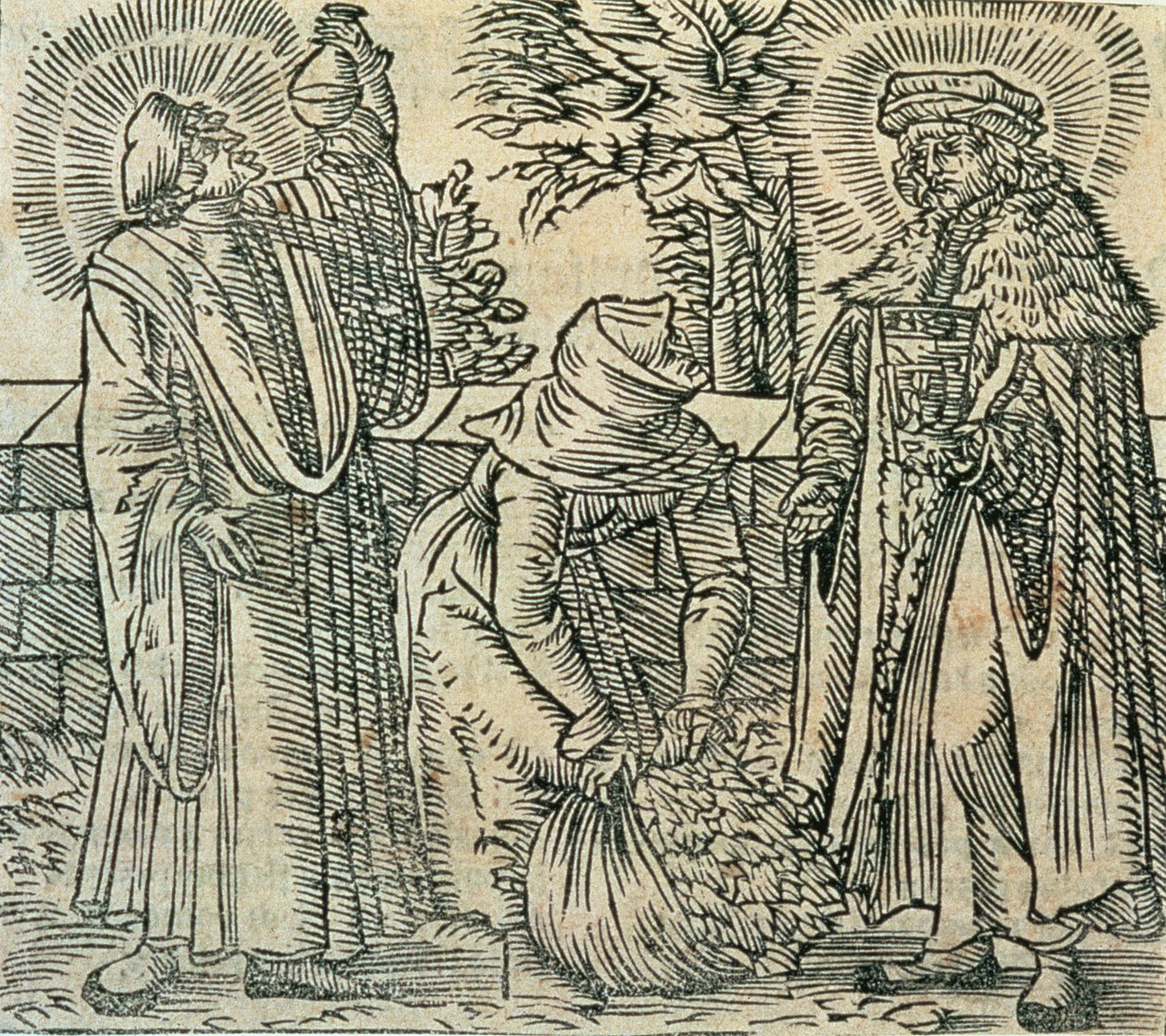 Collecting Herbs for Medicine by Polish School