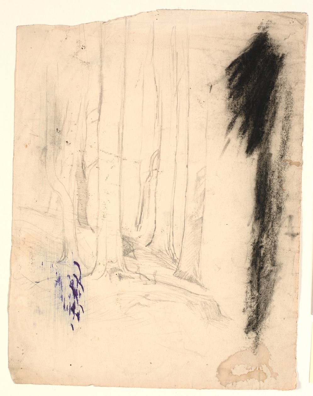 Tree Trunks by Poul S. Christiansen