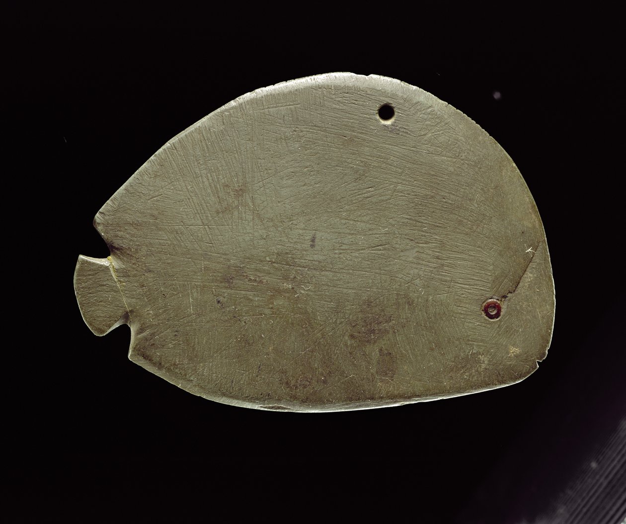 Fish Palette by Predynastic Period Egyptian
