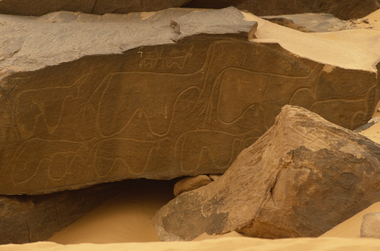 Animals (rock carving) by Prehistoric