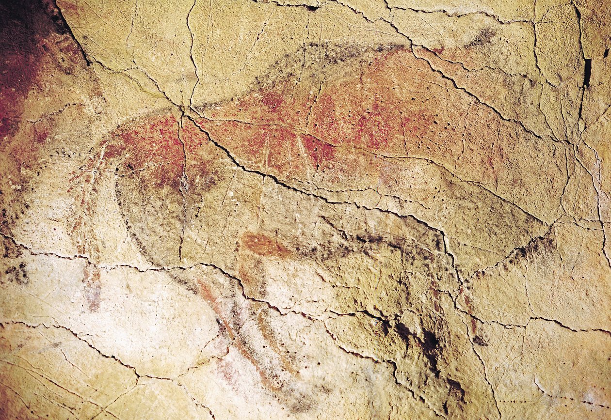 Bison from the Caves at Altamira, c.15000 BC by Prehistoric