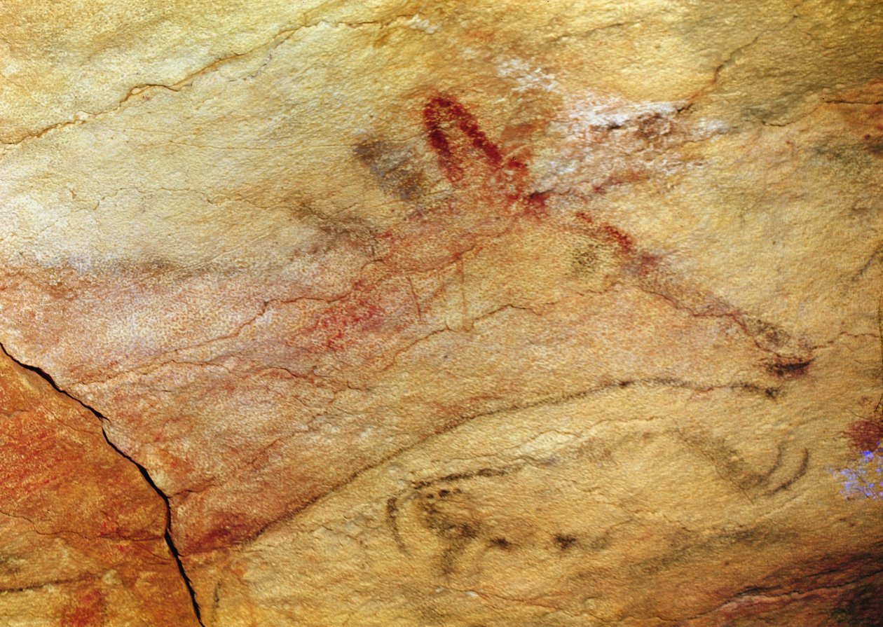 Stag from the Caves of Altamira (detail) by Prehistoric
