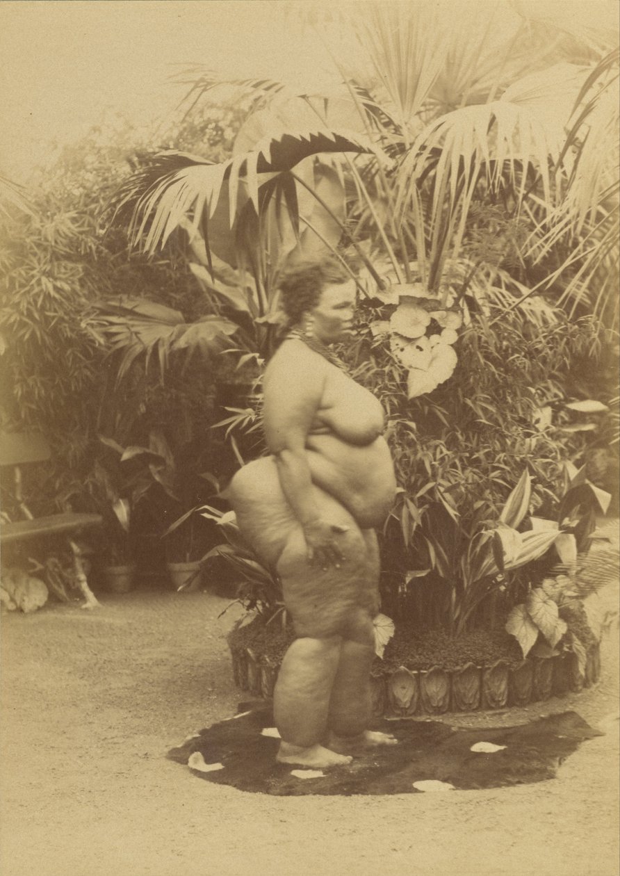 (African Woman) by Napoleon Bonaparte