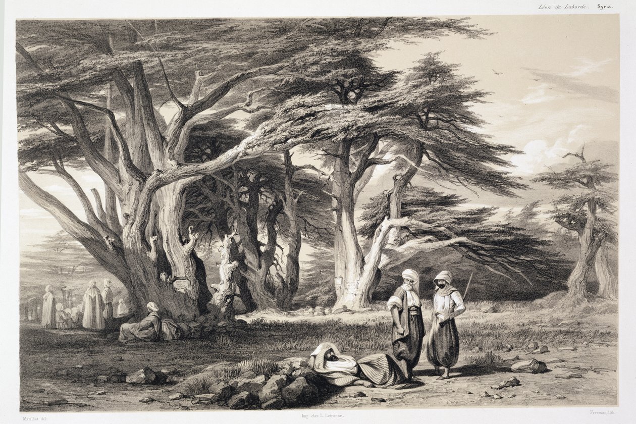 The Cedars of Lebanon by Prosper Georges Antoine Marilhat
