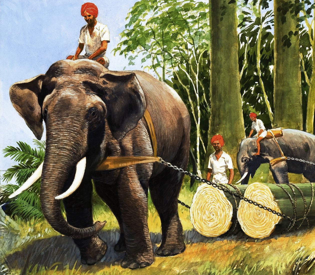 Elephants at Work by R.B. Davis