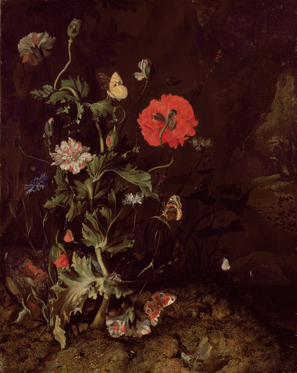 Forest Floor Still Life with Flowers and Butterflies by Rachel Ruysch