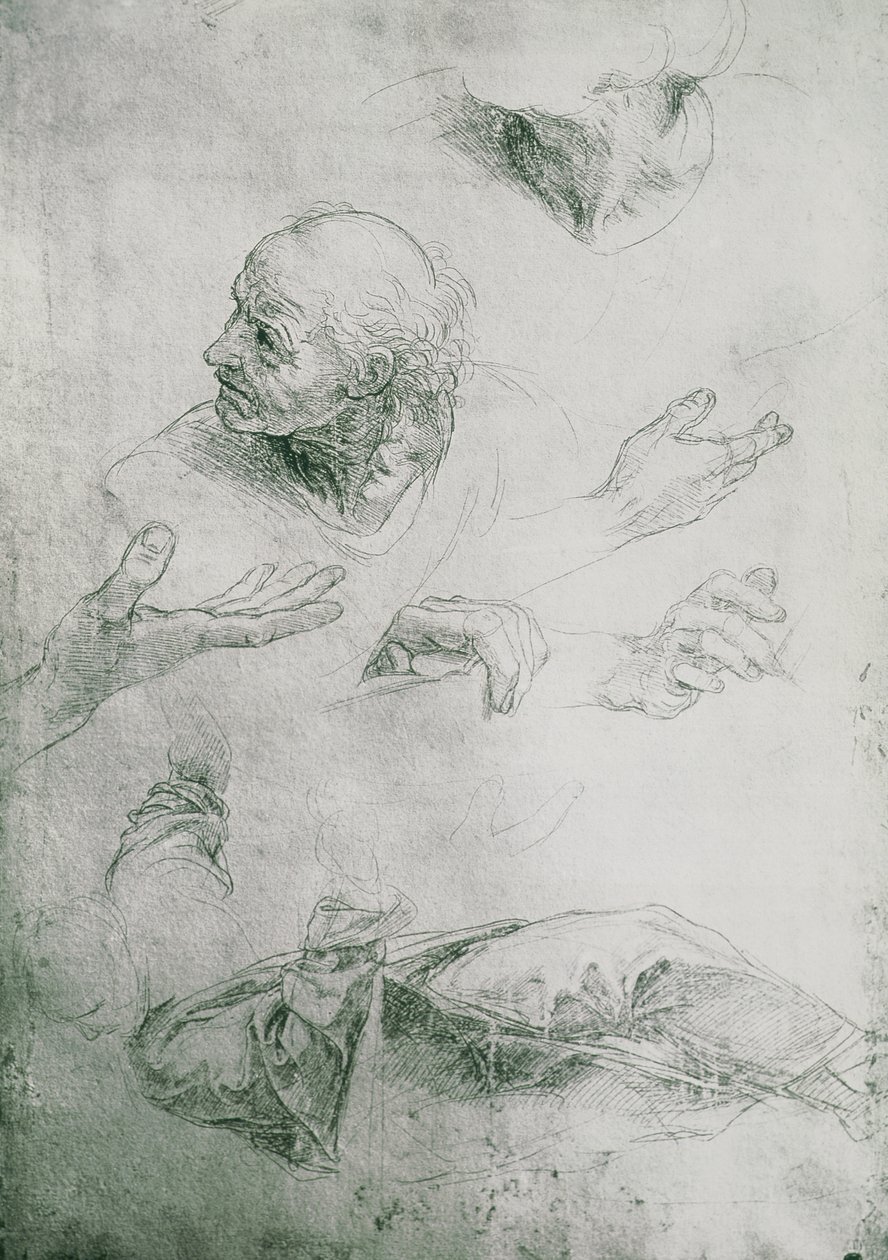 Studies for the Figure of Bramante by Raffaello Sanzio Raphael