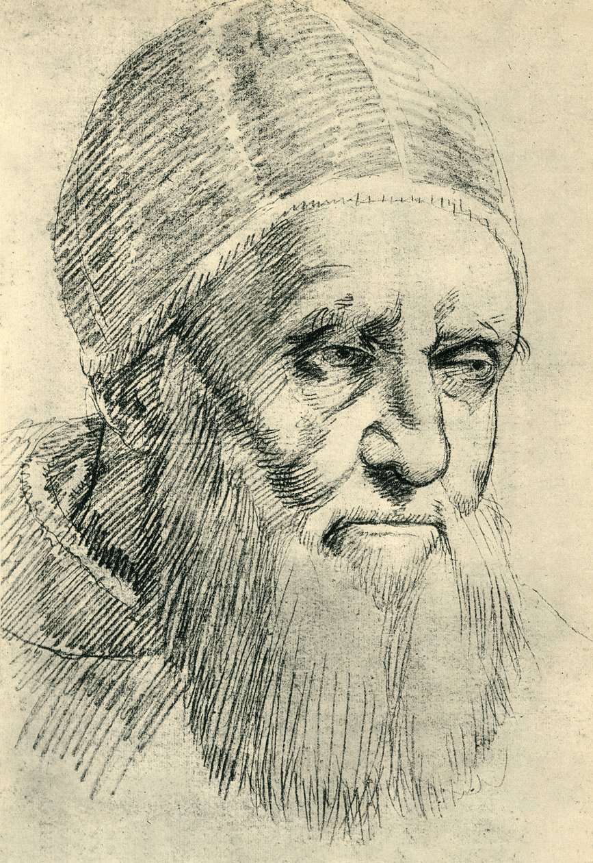 Pope Julius II by Raffaello Sanzio Raphael